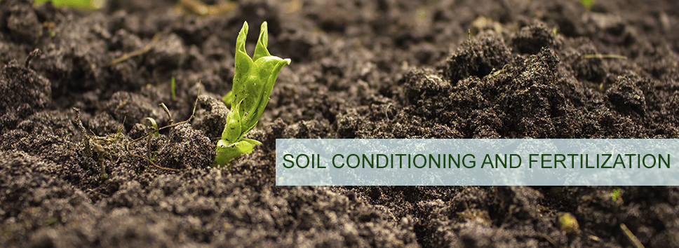 Lawn Fertilization