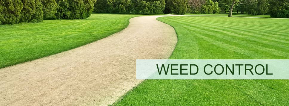 Weed Control