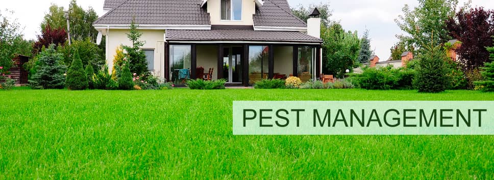 Integrated Pest Management